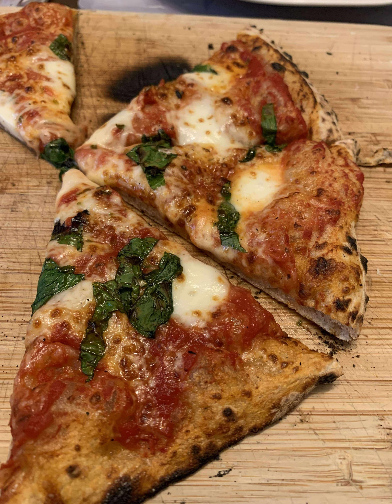 pizza margherita